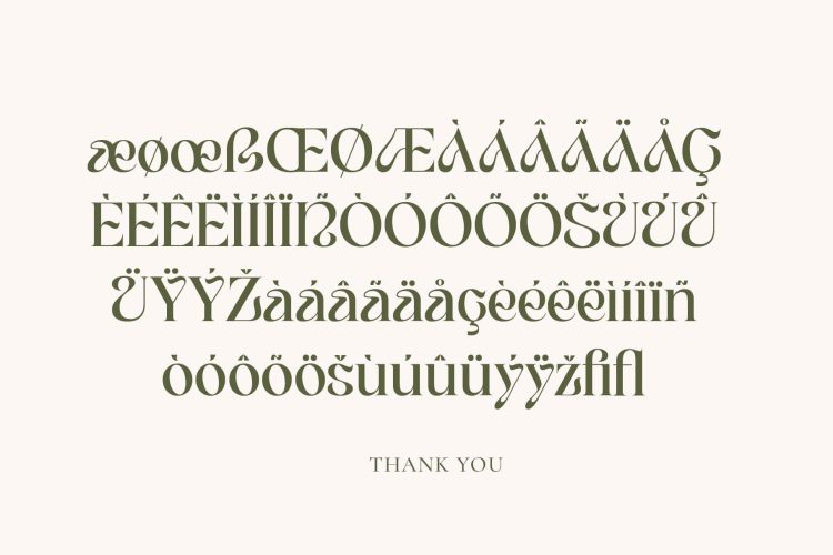 Elegant Serif Font
