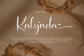 Modern Calligraphy Script Font