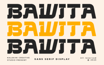 Bawita - Sans Serif Display Font