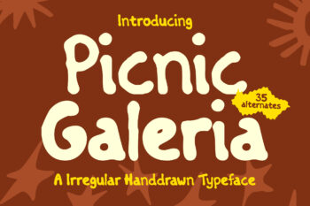 Picnic Galeria - Handdrawn Display Font